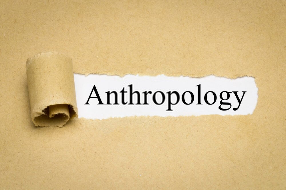 Anthropology Essay writing help