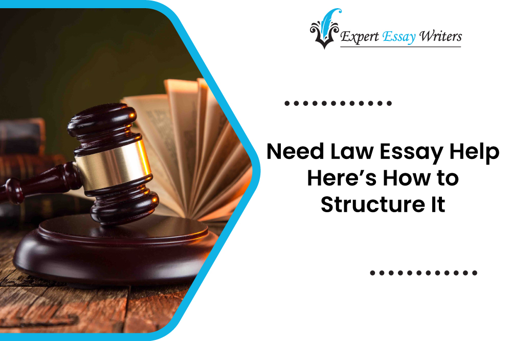 law essay help