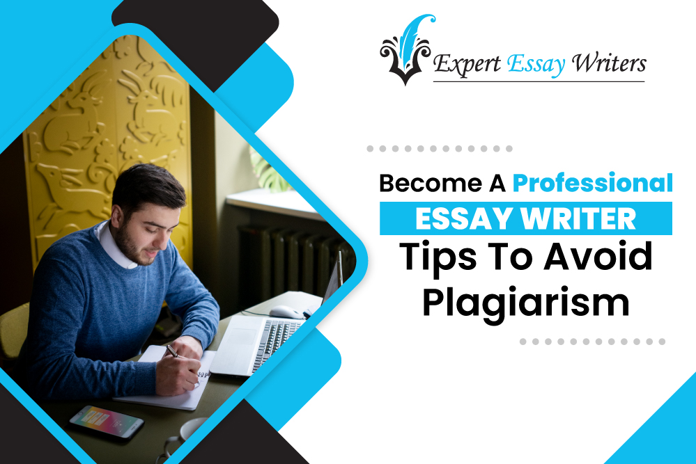 professional essay writer