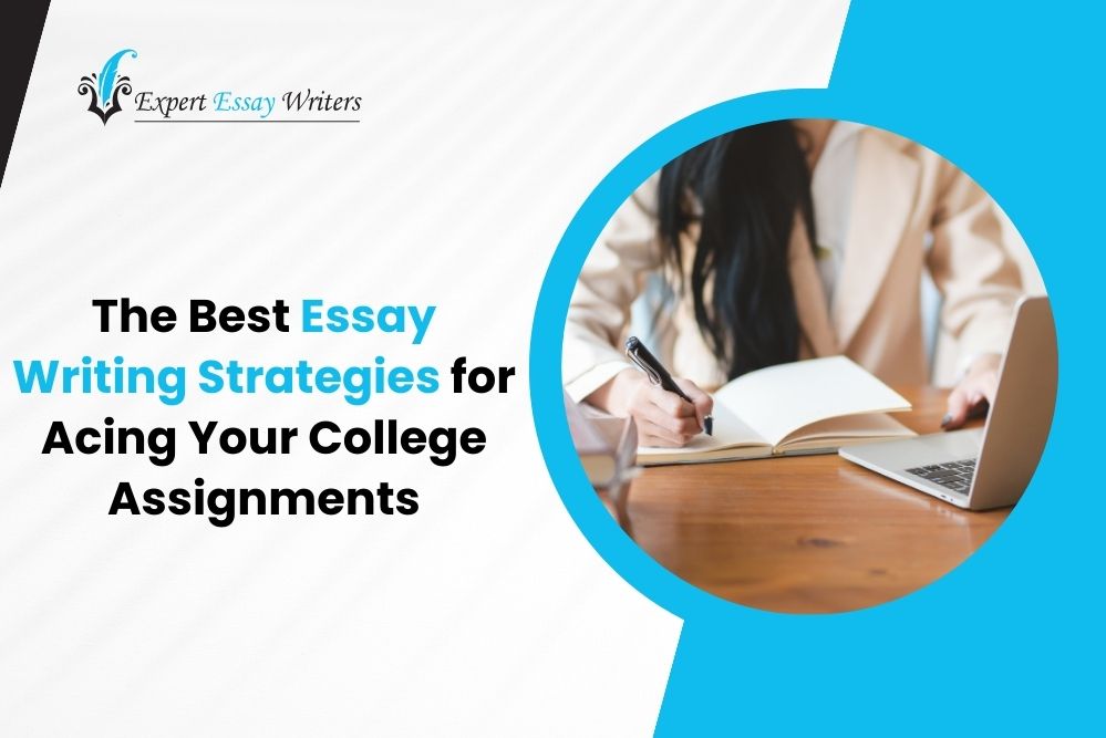 Best Essay Writing
