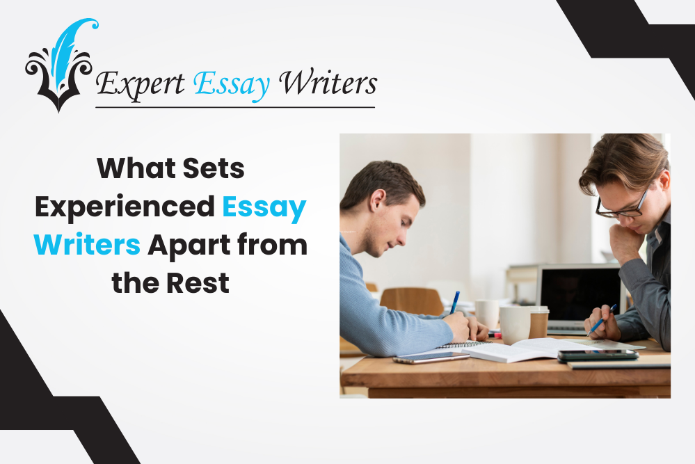 Essay Writers