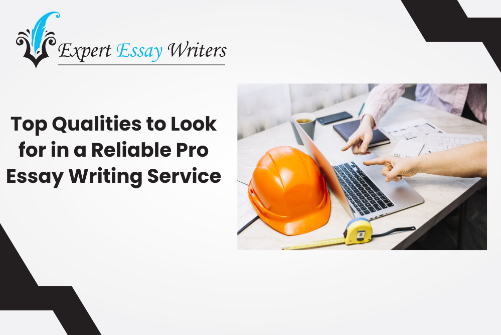 Essay Writing Service